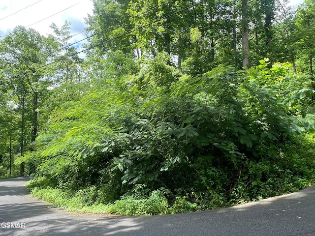 752 Loop Rd, Gatlinburg, TN 37738 - photo 2