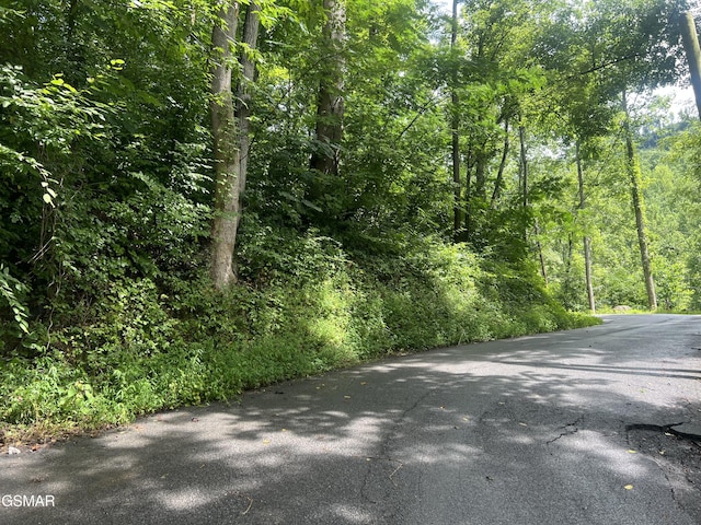 752 Loop Rd, Gatlinburg, TN 37738 - photo 1