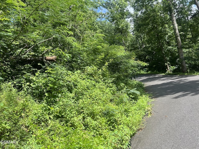752 Loop Rd, Gatlinburg, TN 37738 - photo 3
