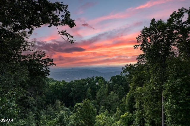 809 Pinecrest Way, Sevierville, TN 37862 - view of mountain background with a forest
