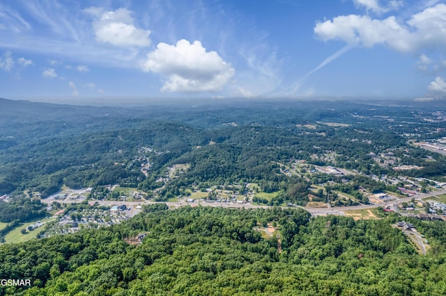 809 Pinecrest Way, Sevierville, TN 37862 - drone / aerial view of a forest