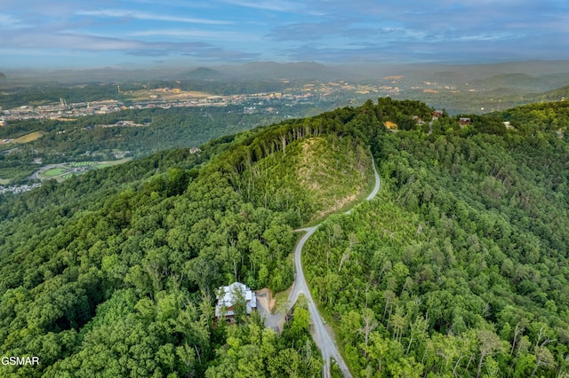 809 Pinecrest Way, Sevierville, TN 37862 - aerial overview of property's location featuring a forest and a mountainous background