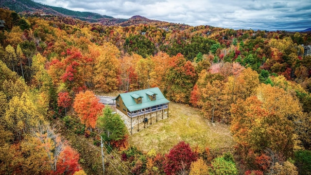 birds eye view of property featuring a mountain view