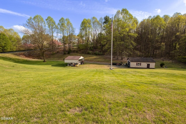 view of yard with a storage shed and an outdoor structure