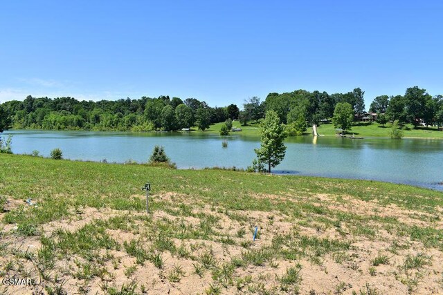 2275 Chestnut Hill Rd, Dandridge, TN 37725