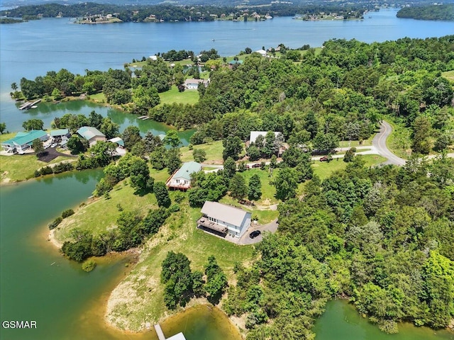 1381 Lake Front Dr, Dandridge, TN 37725 - aerial view of property and surrounding area with a nearby body of water