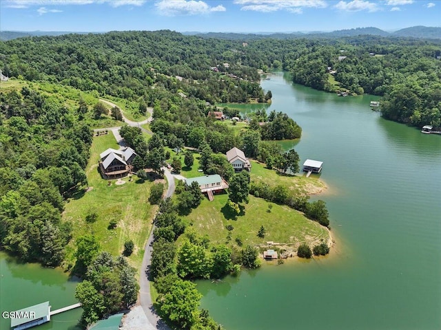 1381 Lake Front Dr, Dandridge, TN 37725 - drone / aerial view of a heavily wooded area and a nearby body of water
