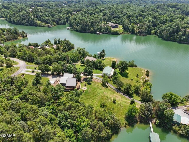 1381 Lake Front Dr, Dandridge, TN 37725 - aerial view of a heavily wooded area and a nearby body of water