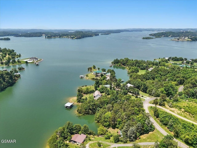 1381 Lake Front Dr, Dandridge, TN 37725 - bird's eye view of a large body of water