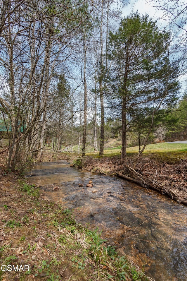 2673 Cedar Falls Way, Sevierville, TN 37862 - photo 4