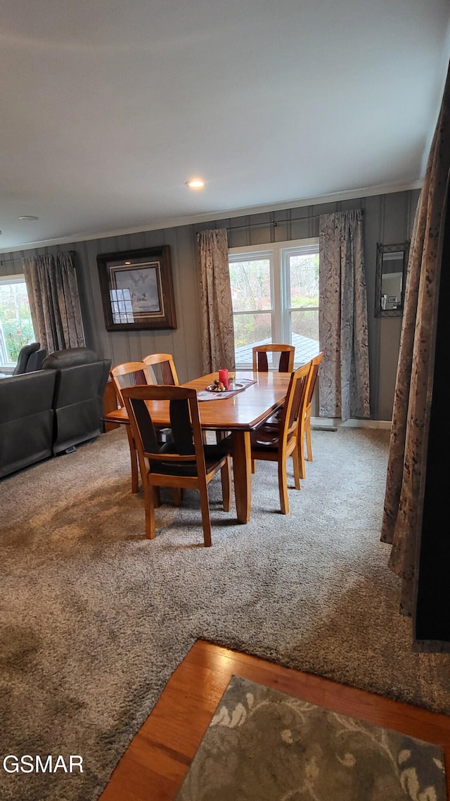 carpeted dining area featuring a wealth of natural light