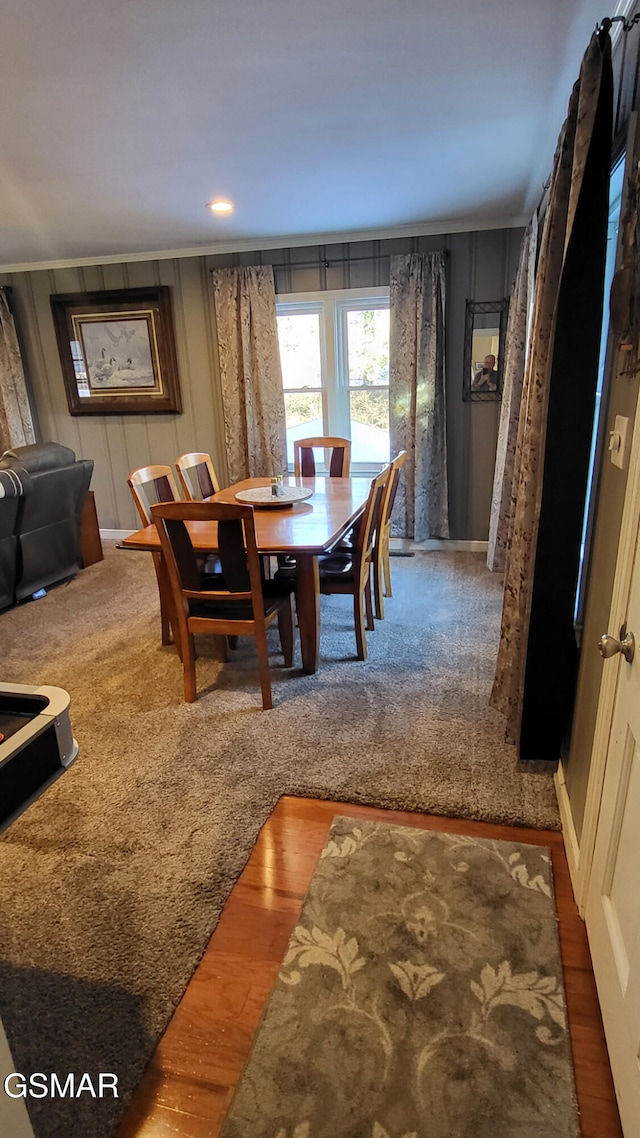 dining room featuring dark wood-type flooring