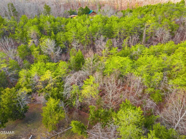 2552 Wendall Dr, Sevierville, TN 37876 - photo 11