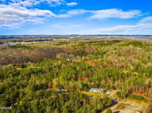 2552 Wendall Dr, Sevierville, TN 37876 - photo 5