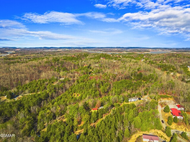 2552 Wendall Dr, Sevierville, TN 37876 - photo 4
