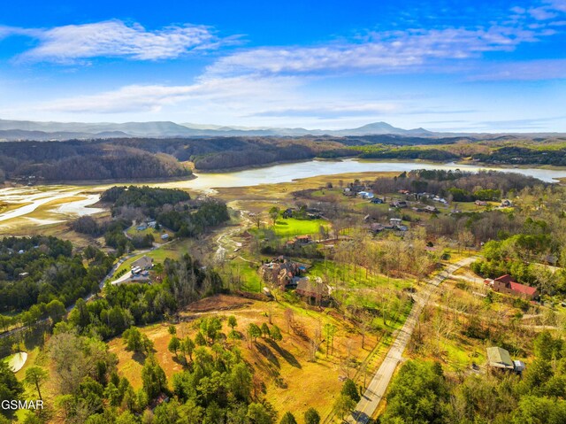2552 Wendall Dr, Sevierville, TN 37876 - photo 6