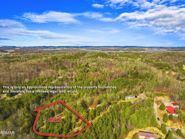 2552 Wendall Dr, Sevierville, TN 37876 - photo 2