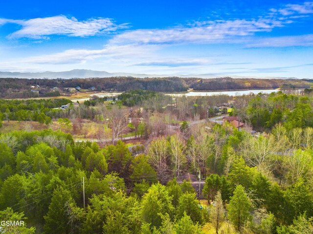 2552 Wendall Dr, Sevierville, TN 37876 - photo 12