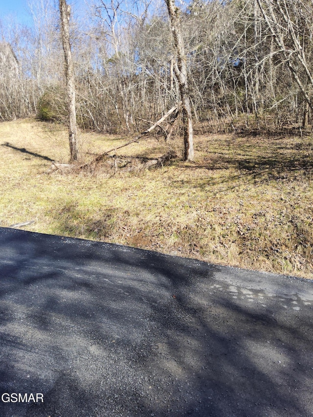 0 Ivy Way, Newport TN, 37821 land for sale