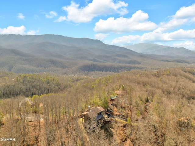 564 Thissa Way, Gatlinburg, TN 37738 - photo 67