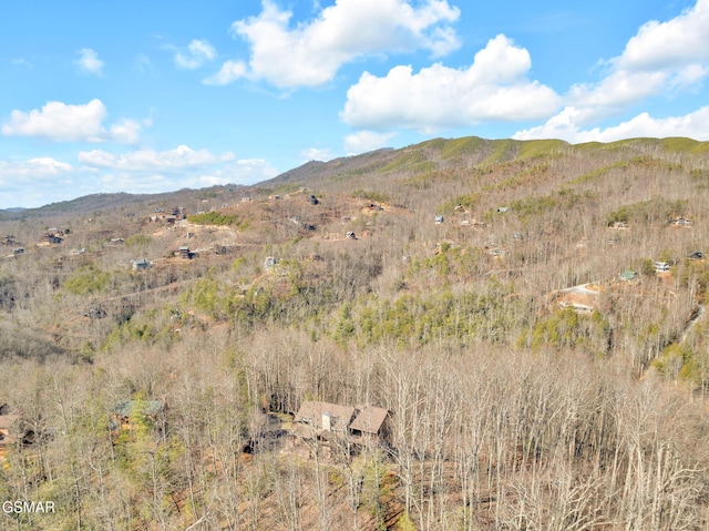 564 Thissa Way, Gatlinburg, TN 37738 - photo 68