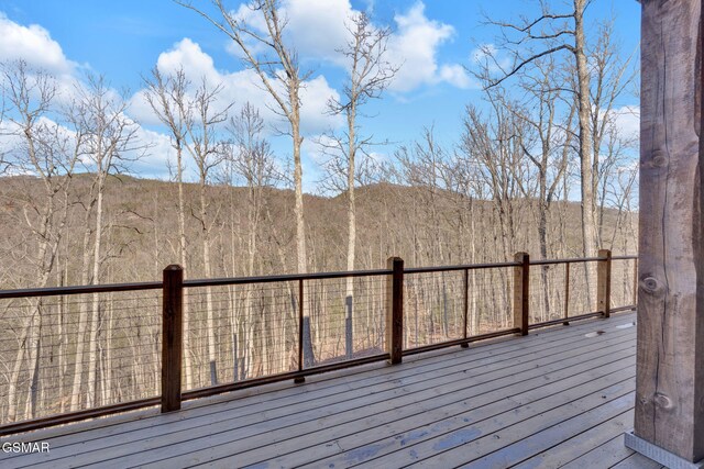 564 Thissa Way, Gatlinburg, TN 37738 - photo 47