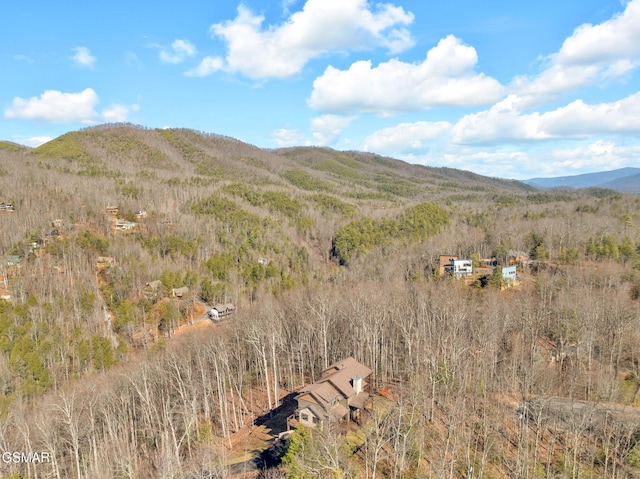 564 Thissa Way, Gatlinburg, TN 37738 - photo 69