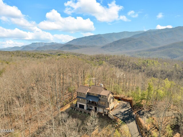 564 Thissa Way, Gatlinburg, TN 37738 - photo 66