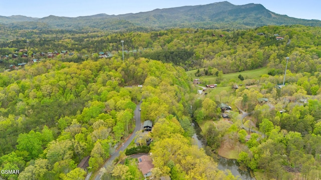 birds eye view of property with a wooded view and a mountain view