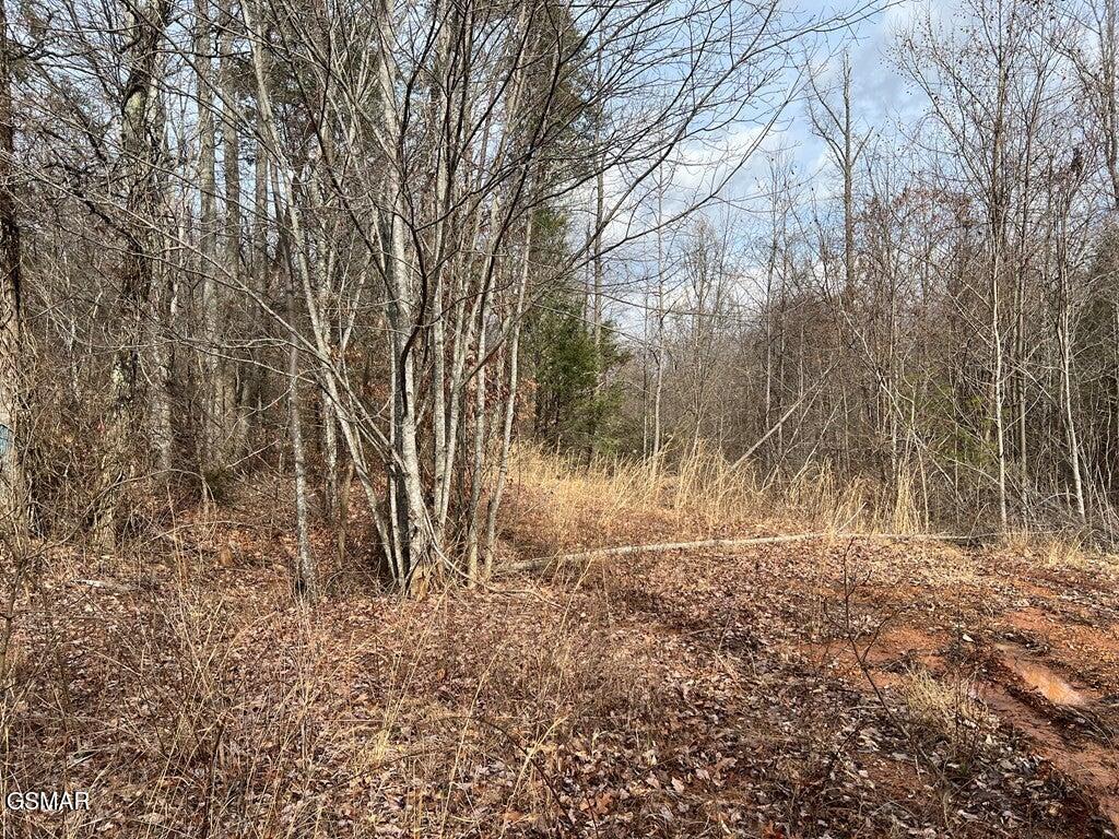LOT29 Blue Springs Way, Newport, TN 37821