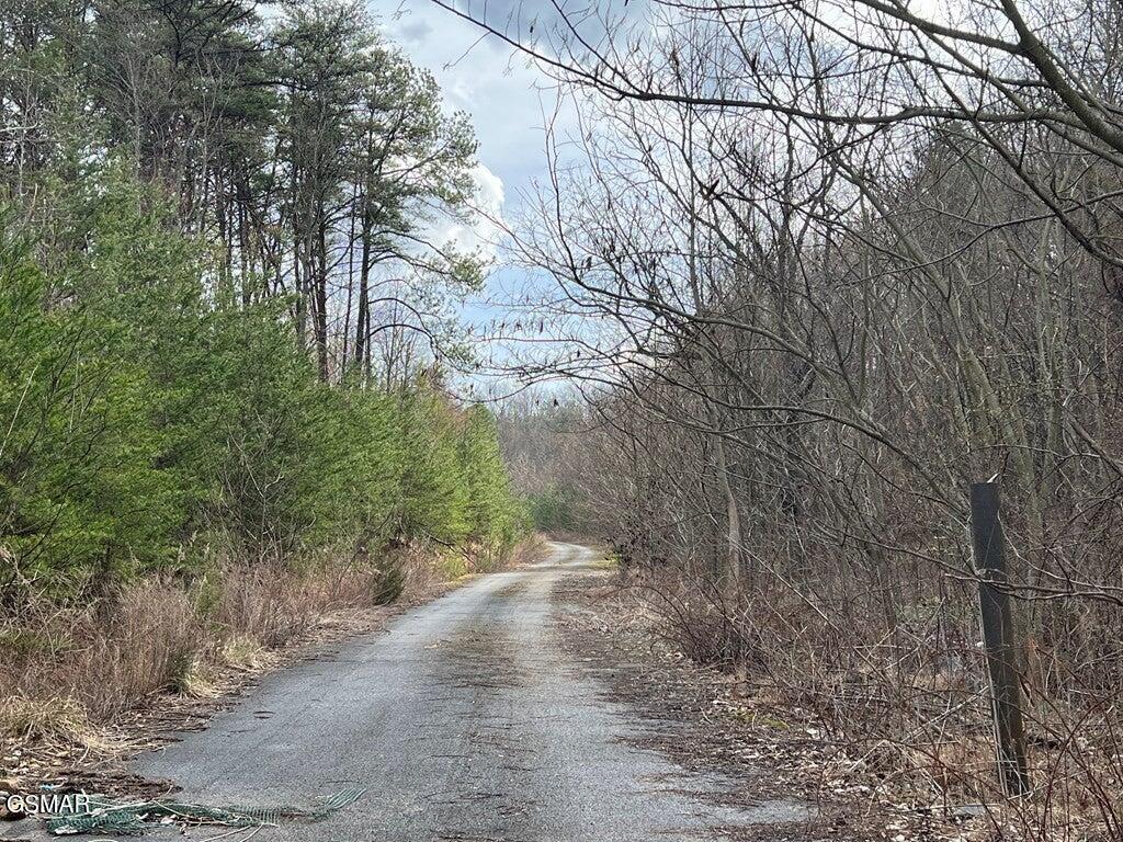 LOT29 Blue Springs Way, Newport, TN 37821