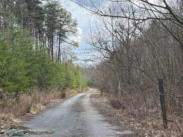 LOT29 Blue Springs Way, Newport, TN 37821