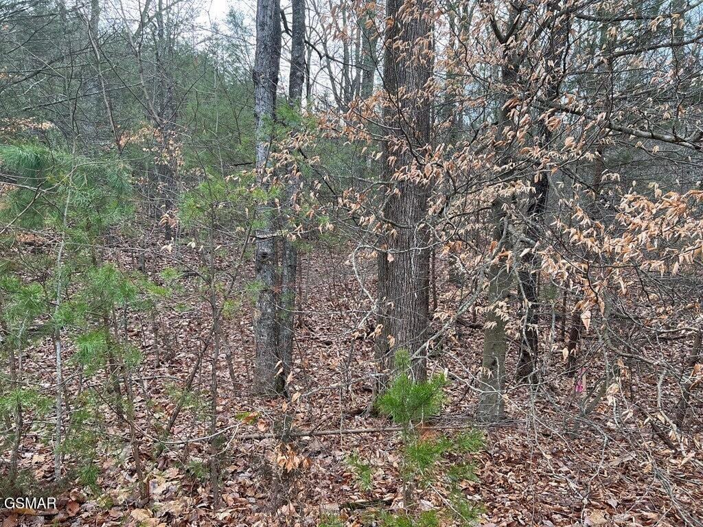 LOT29 Blue Springs Way, Newport, TN 37821