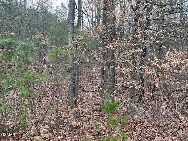 LOT29 Blue Springs Way, Newport, TN 37821