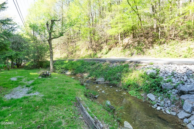 250 Cartertown Rd, Gatlinburg, TN 37738 - view of yard featuring a forest view
