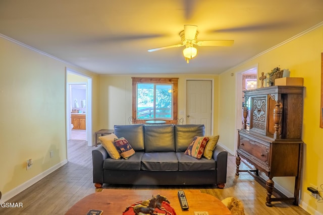 250 Cartertown Rd, Gatlinburg, TN 37738 - living room featuring wood finished floors, crown molding, baseboards, and plenty of natural light