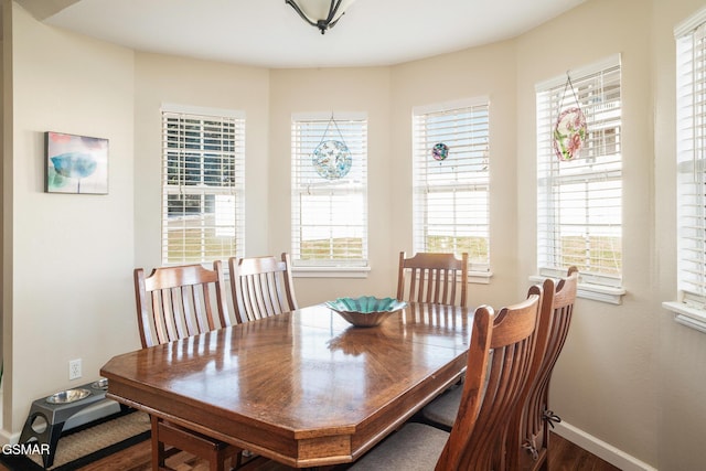 dining room with dark wood-type flooring and a wealth of natural light