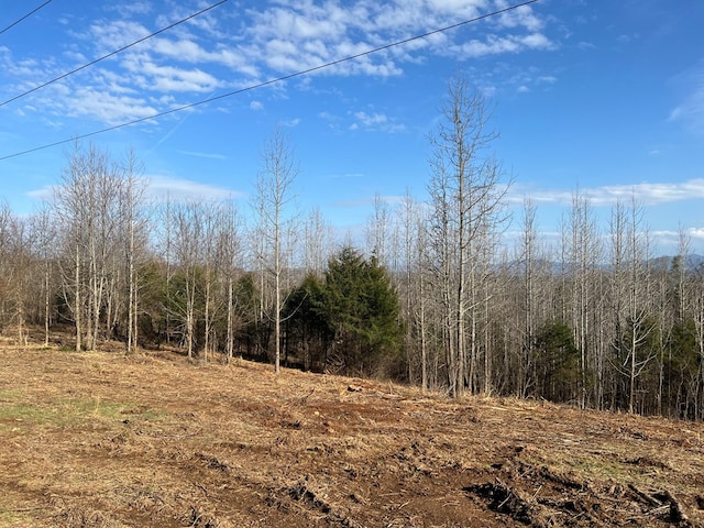 Listing photo 3 for Industrial Rd, Newport TN 37821