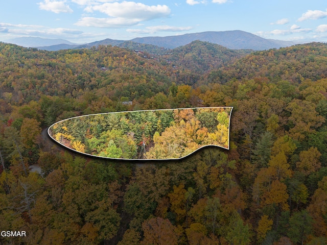 Listing photo 2 for LOT11 Cove Creek Way, Sevierville TN 37862