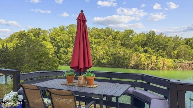 1033 Sunset View Rd, Sevierville, TN 37876 - photo 23