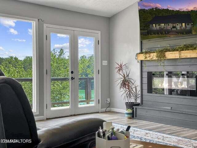 1033 Sunset View Rd, Sevierville, TN 37876 - photo 6