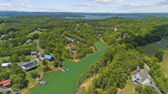 1033 Sunset View Rd, Sevierville, TN 37876 - photo 46