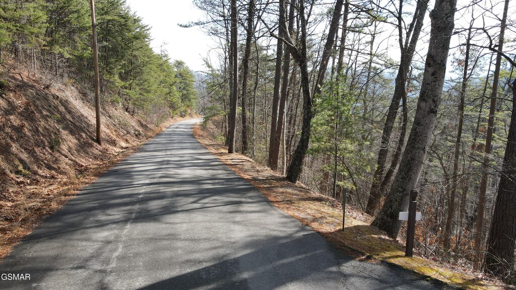 LOT2B Overholt Trl, Sevierville, TN 37862