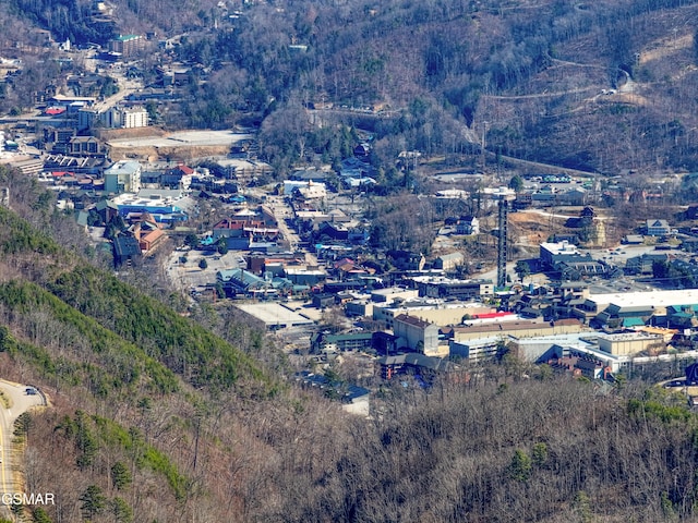 1349 N Baden Dr, Gatlinburg, TN 37738 - bird's eye view of a forest