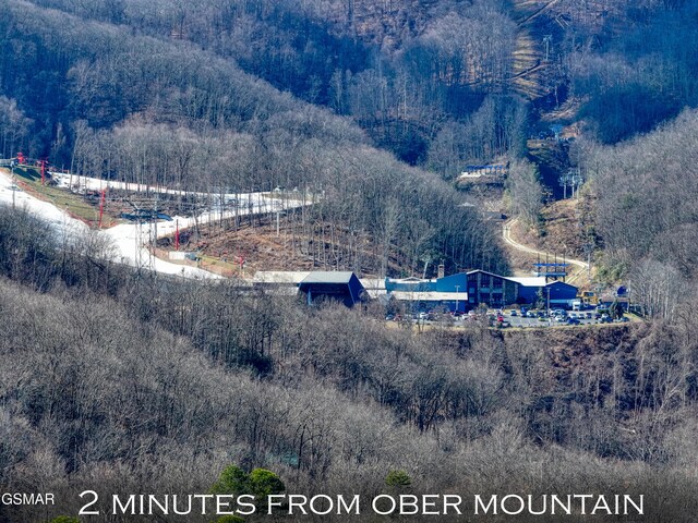 1349 N Baden Dr, Gatlinburg, TN 37738 - view of property location