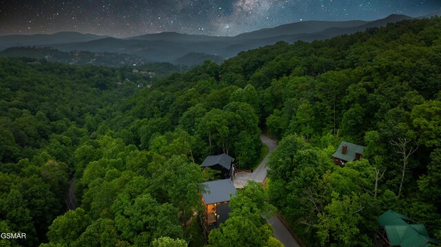 1349 N Baden Dr, Gatlinburg, TN 37738 - back of property with a balcony