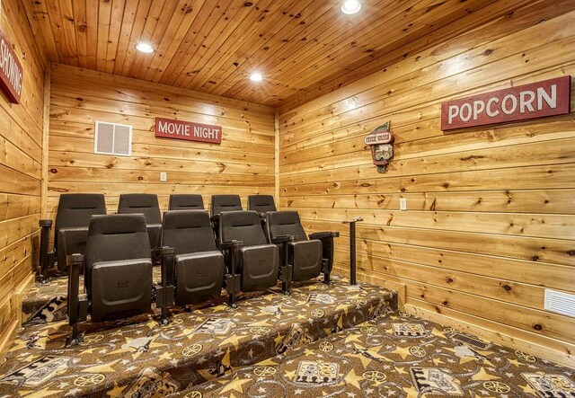 cinema with wooden walls and wood ceiling