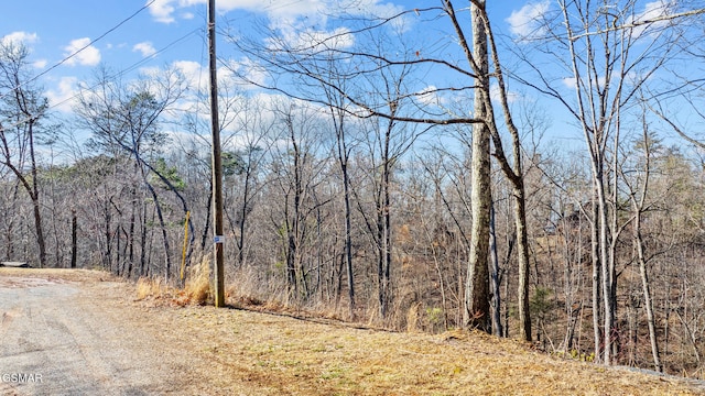 Listing photo 2 for LOT199 Tsali Dr, Sevierville TN 37876