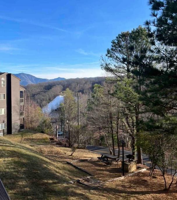 view of mountain feature with a water view