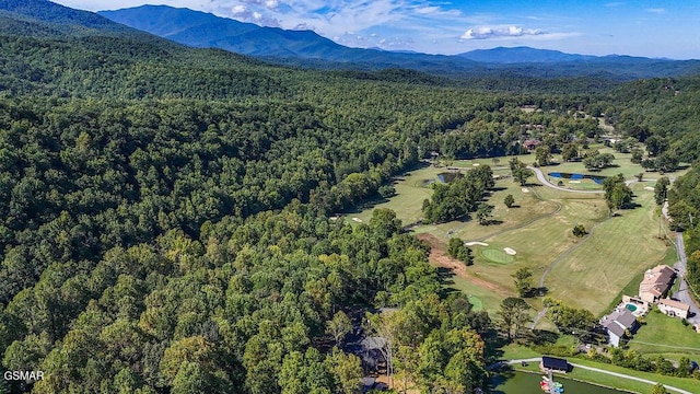 aerial view featuring a mountain view